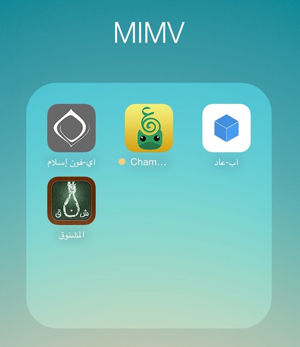 MIMV folder cropped and resized