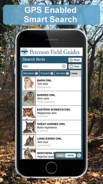 Guide to Birds