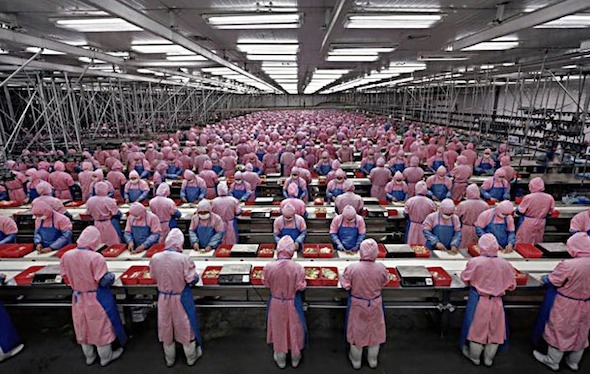 تقرير BBC يكشف معاناة عمال مصانع أبل
