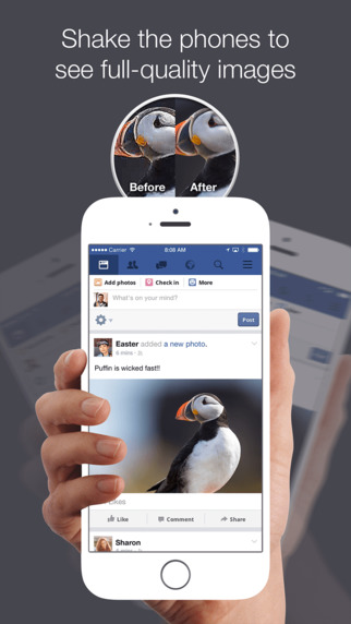 puffin-for-FB