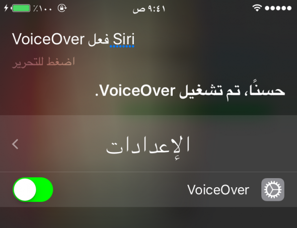 activate-voice-over