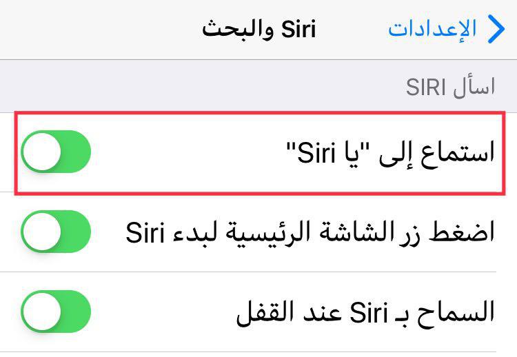 Flash play dengan trik sederhana melalui Siri iPhone Islam