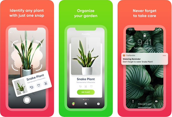 IPhone-Apps, mit denen Sie Zimmerpflanzen überwachen und pflegen können