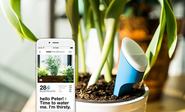 تطبيقات على الآي-فون تُساعدك على مراقبة النباتات المنزلية والاهتمام بها