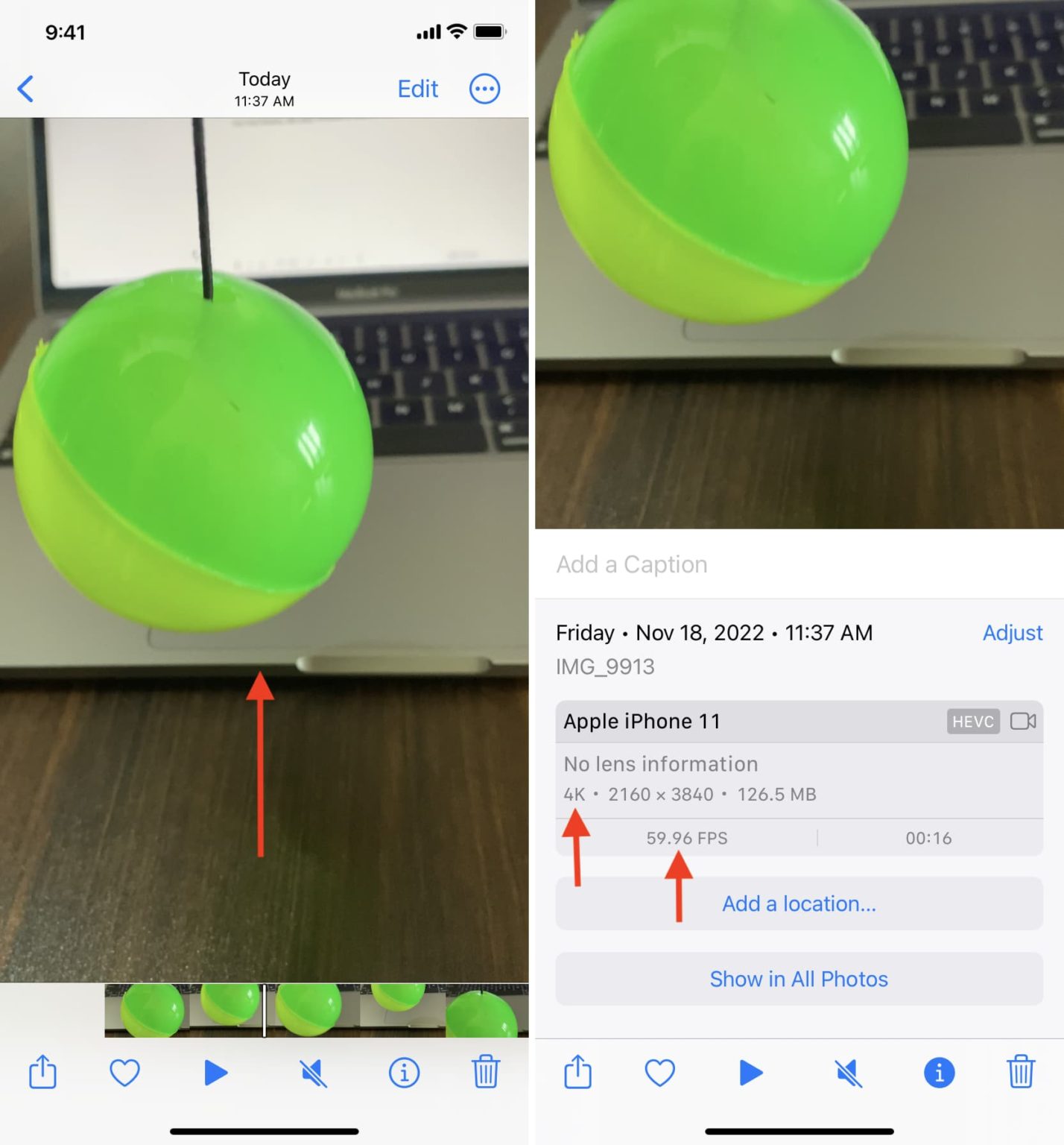  Apple、iPhone 6sの写真機能を紹介する「Shot on iPhone」ビデオをさらに2本公開