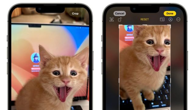 Z iPhoneIslam.com dwa iPhone'y przedstawiające kota wysuwającego język i pokazujące zaktualizowane aplikacje Aparat i Zdjęcia w iOS 17.
