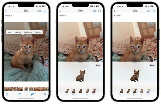 iPhoneIslam.com より、猫が表示された iPhone 画面。