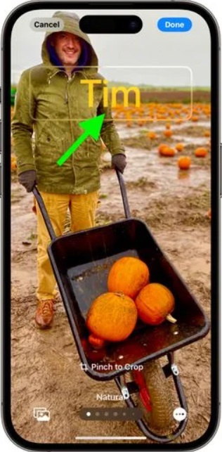 Tiré de iPhoneIslam.com, projet spontané : un homme poussant une brouette pleine de citrouilles.
