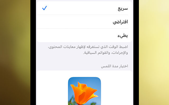 iPhoneIslam.com'dan, dokunmatik ekranında Arapça bir çiçek bulunan dokunsal bir telefon.