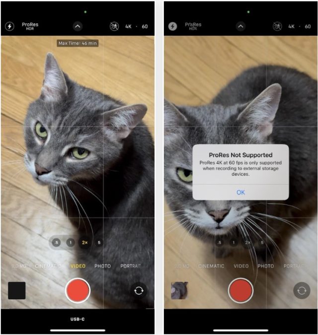 من iPhoneIslam.com، تظهر قطة في تطبيق الكاميرا على هاتف iPhone، وتضم 18 ميزة مخفية جديدة في تحديث iOS 17.