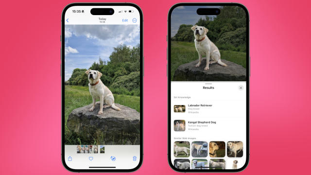 Từ iPhoneIslam.com, Tìm kiếm tốt hơn: Hai chiếc iPhone hiển thị hình ảnh một con chó.