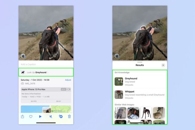 Em iPhoneIslam.com, uma visão clara de uma pessoa andando a cavalo na tela de um iPhone.