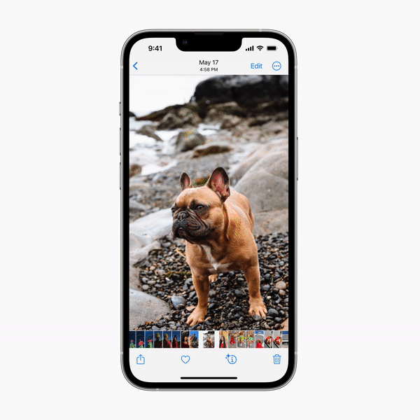 Ji iPhoneIslam.com, iPhone bi kûçikê li ser ekranê dîmenên dîtbar nîşan dide.