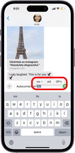 iPhoneIslam.com より、iPhone で強調表示されたエッフェル塔を示すテキスト メッセージのスクリーンショット。