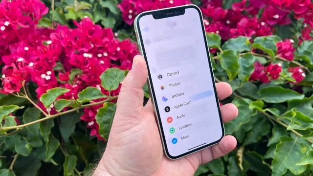 Van iPhoneIslam.com: Een hand houdt een iPhone XR vast voor bloemen, wat handige iOS 17-functies laat zien.
