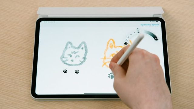 من iPhoneIslam.com، يرسم شخص وجهي قطتين على جهاز لوحي باستخدام قلم، ويبدو أنه يركز على مساعيه الإبداعية. هل يمكن أن يكون هذا جزءًا من التحديثات الفنية من "أخبار الهامش" بين 21 و27 يونيو؟