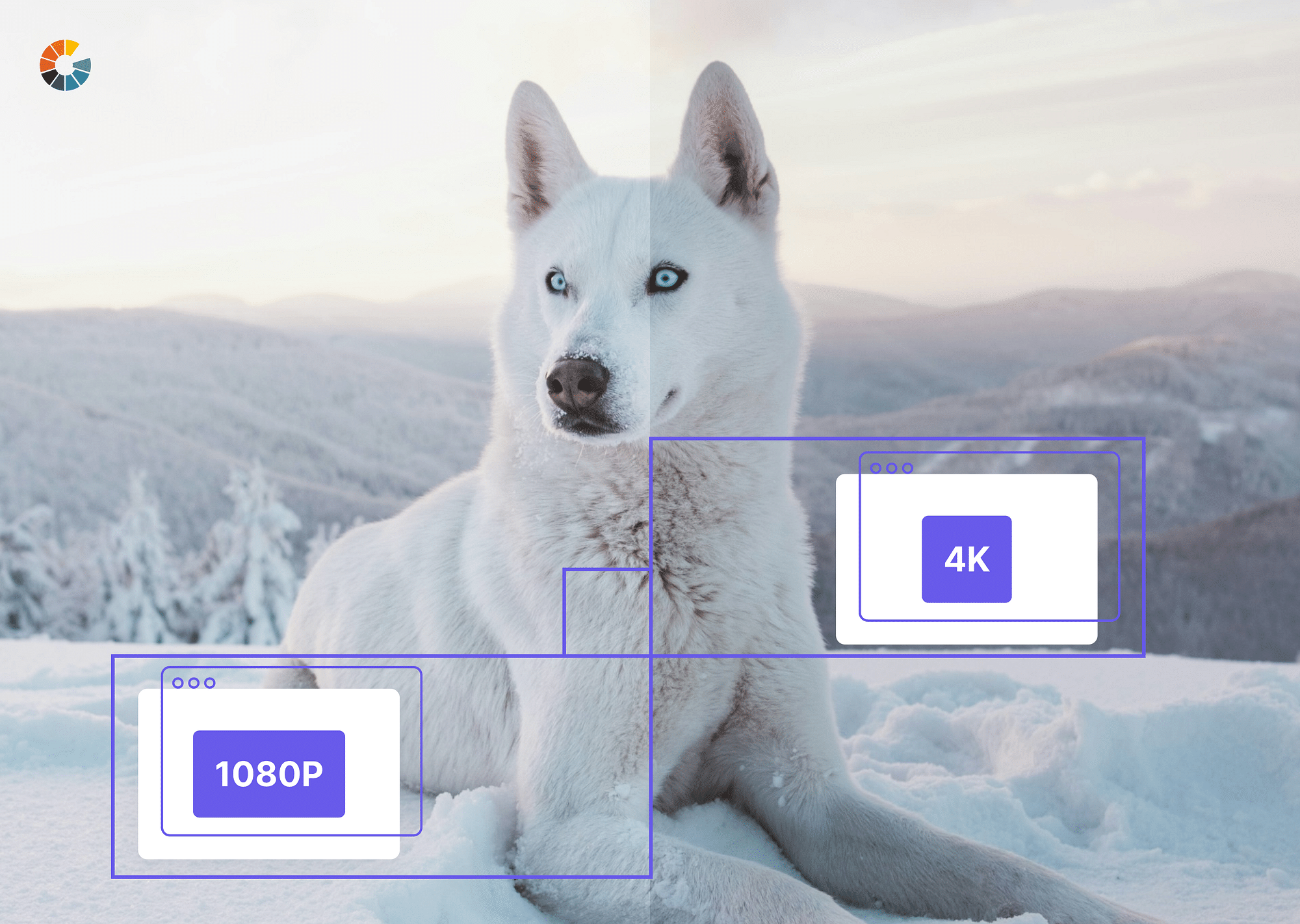 From iPhoneIslam.com, a white dog sitting in the snow with a split-screen effect highlights the image quality improvements between 1080P and 4K, and showcases the camera improvements in the latest iPhone 16 lineup.