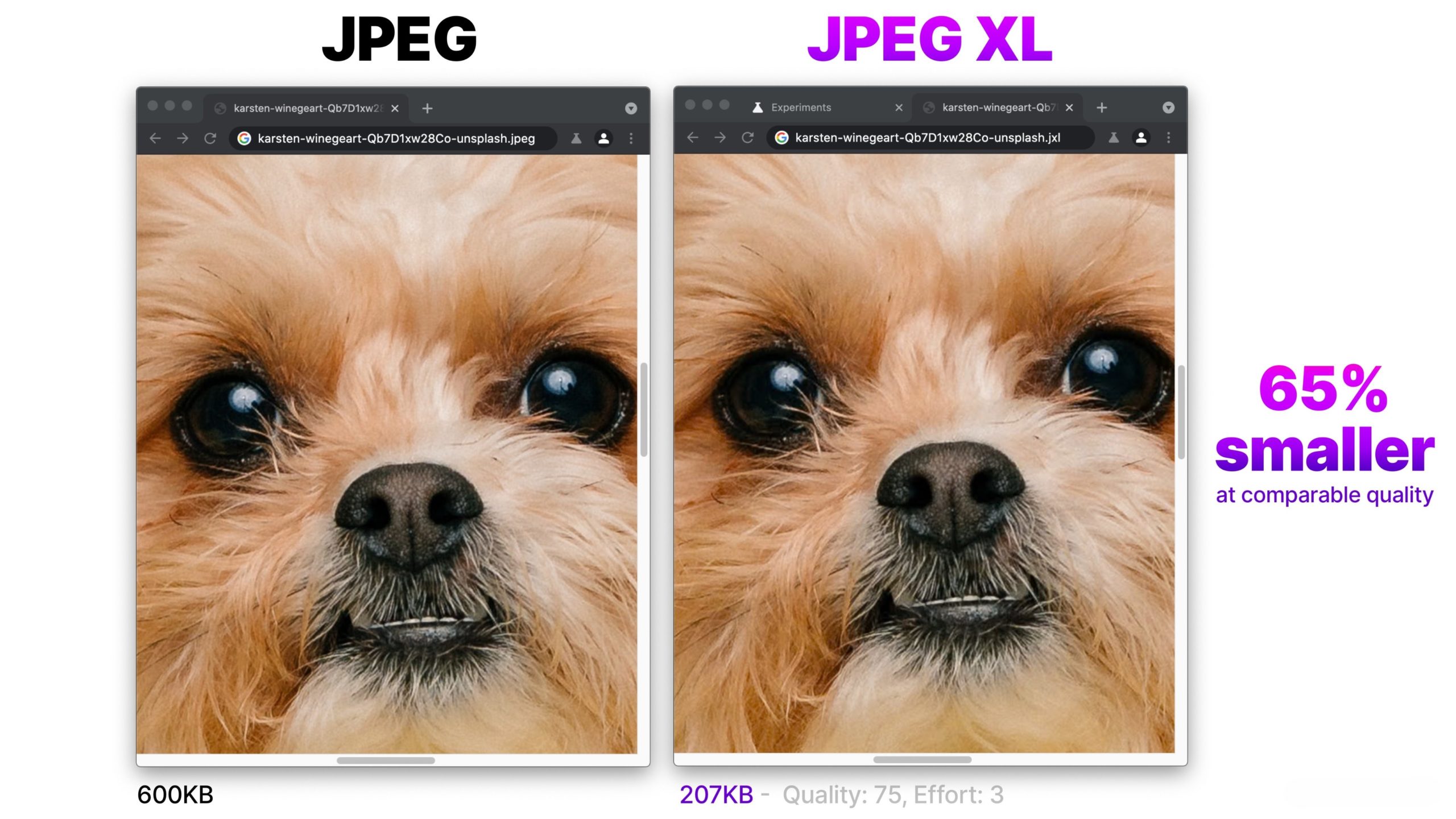 From iPhoneIslam.com, a side-by-side comparison of a dog's face in two image formats: JPEG on the left (600KB) and JPEG XL on the right (207KB), showing that the JPEG XL image is 65% smaller with comparable quality, just like the camera improvements you'll find in the upcoming iPhone 16.