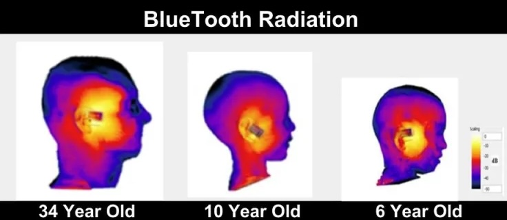 من iPhoneIslam.com، تكشف الصور الحرارية عن تأثيرات إشعاع البلوتوث من إيربودز على رؤوس أشخاص يبلغون من العمر 34 عامًا، و10 أعوام، و6 أعوام، مما يسلط الضوء على أنماط مختلفة لتوزيع الحرارة.