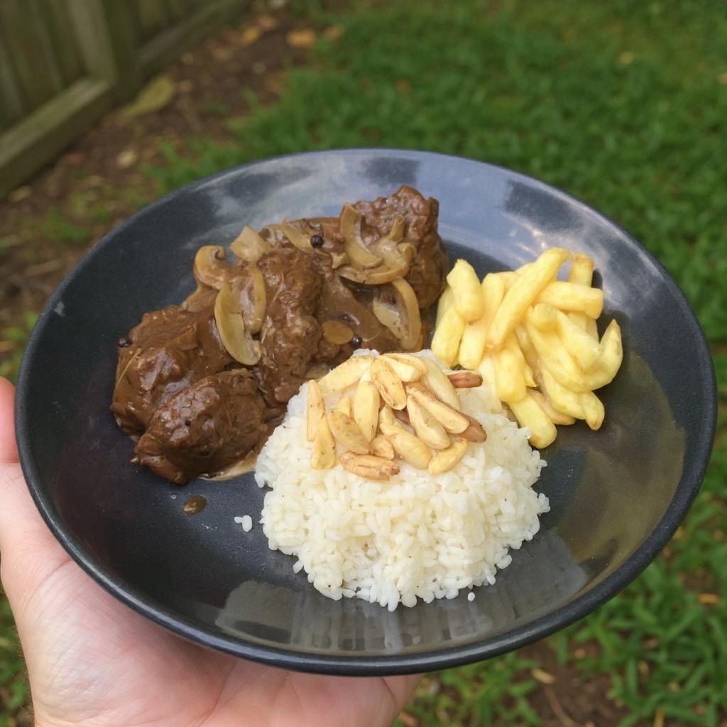 من iPhoneIslam.com، يد تحمل صحنًا أسود به أرز أبيض مغطى باللوز المقطّع والبطاطا المقلية وحساء اللحم البقري مع البصل -كلها من أشهى الأطباق التي يمكن مشاركتها عبر تطبيق طعام لصور الطعام- مع عشب وسياج خشبي في الخلفية.