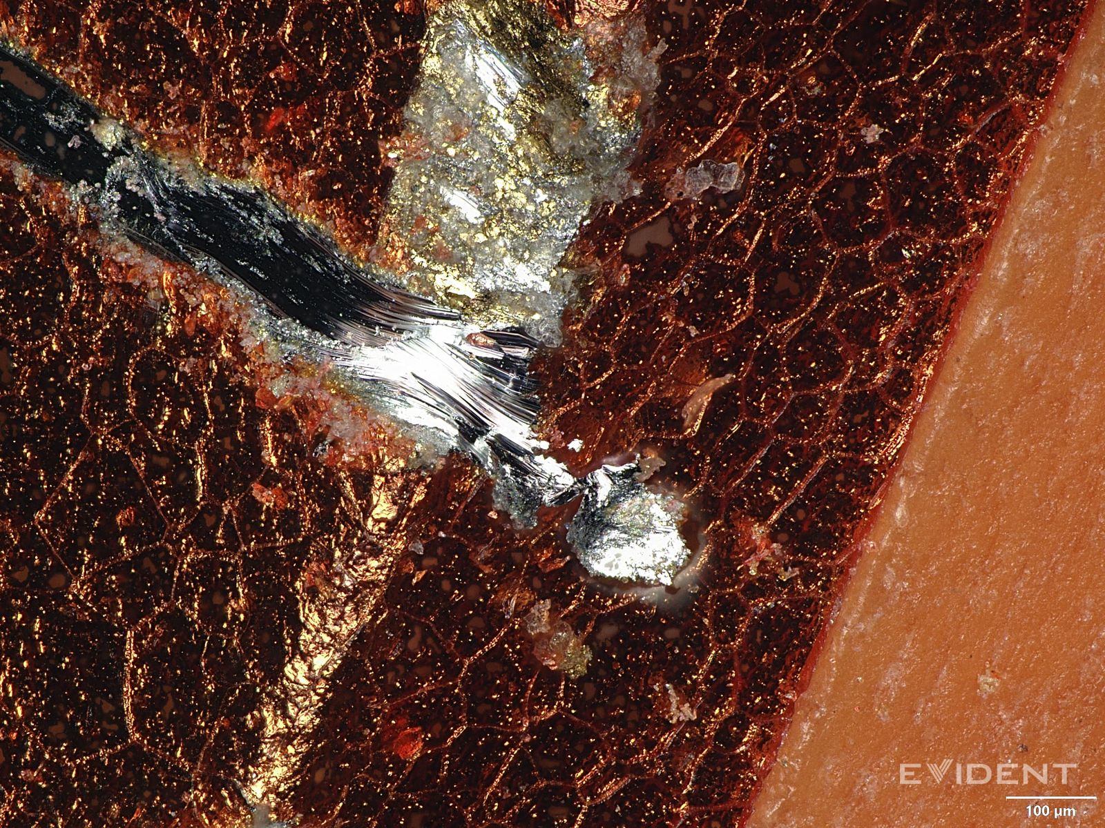 من موقع فون إسلام: صورة مجهرية عن قرب تُظهر مادة معدنية فضية اللون مدمجة في سطح محكم بني مائل إلى الحمرة، مع شريط مقياس يشير إلى 100 ميكرومتر، وقد تم تحديدها مؤخراً في أخبار التقنية خلال سبتمبر/أيلول.