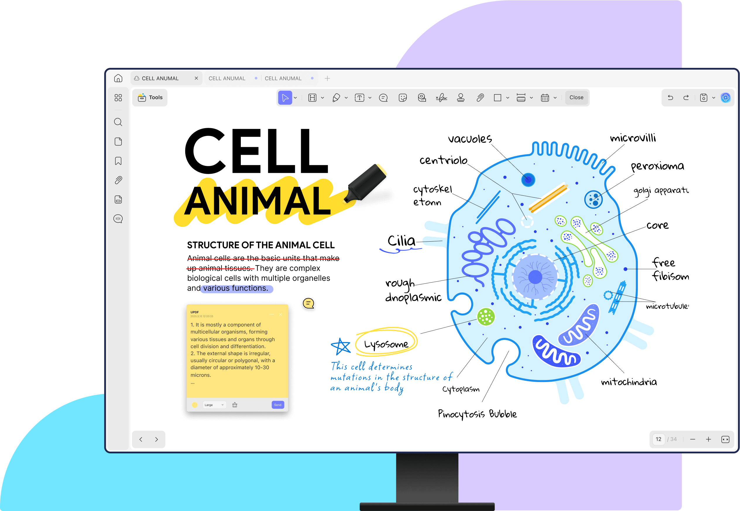 من موقع فون إسلام: رسم تخطيطي لخلية حيوانية مع العضيات الموسومة ووصف يشرح تركيب الخلية ووظائفها على شاشة الكمبيوتر، تم إنشاؤه باستخدام UPDF، محرر ملفات PDF المدعوم بالذكاء الاصطناعي.