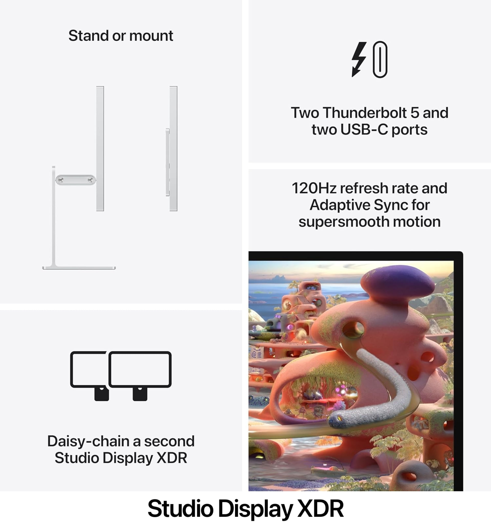 نظام الصوت والكاميرا