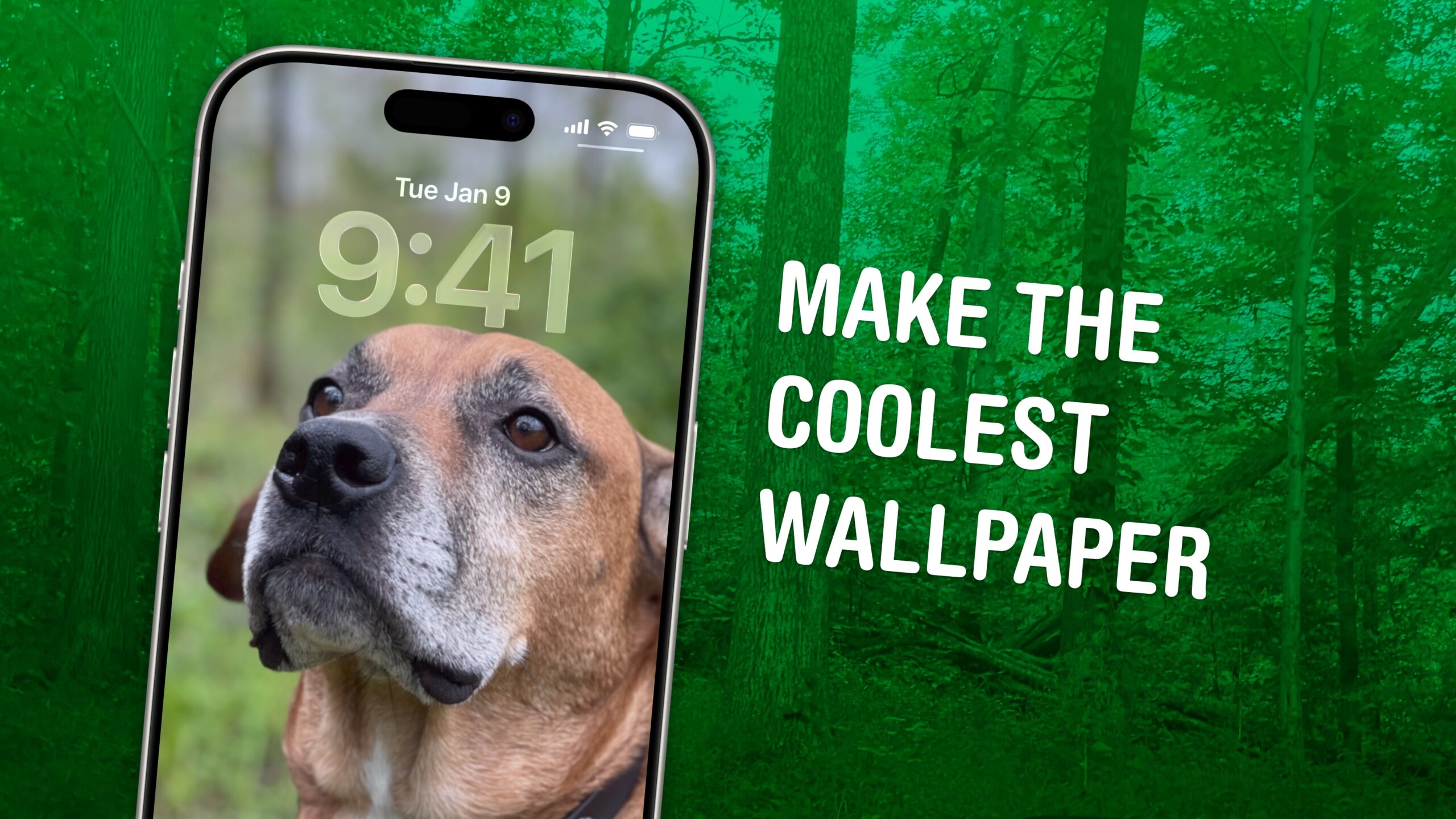 من موقع فون إسلام: يظهر هاتف ذكي يعرض خلفية كلب بجانب النص "اصنع أروع خلفية" على خلفية غابة خضراء.