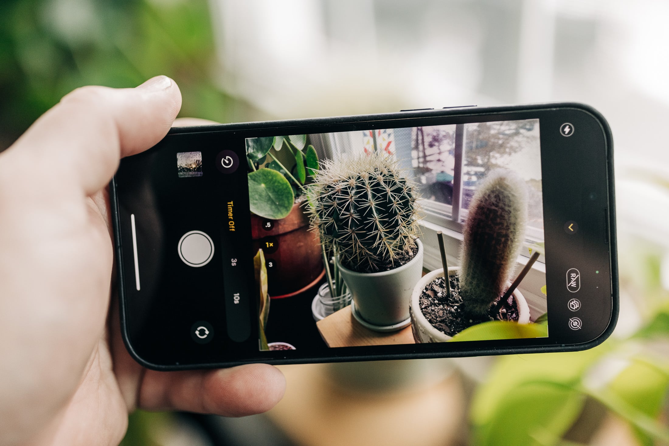 From Phonegram website: A hand holding a smartphone equipped with an iPhone 18 Pro camera, taking a picture of several cacti and succulents planted in pots near a window.